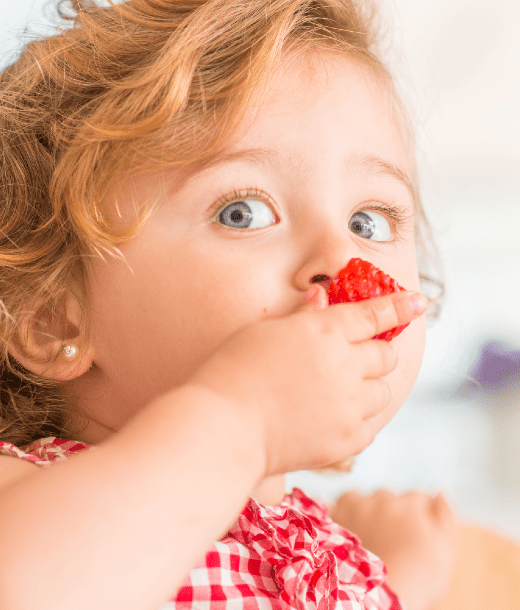 Little girl with blond hair and blue eyes eating a raspberry with her hands