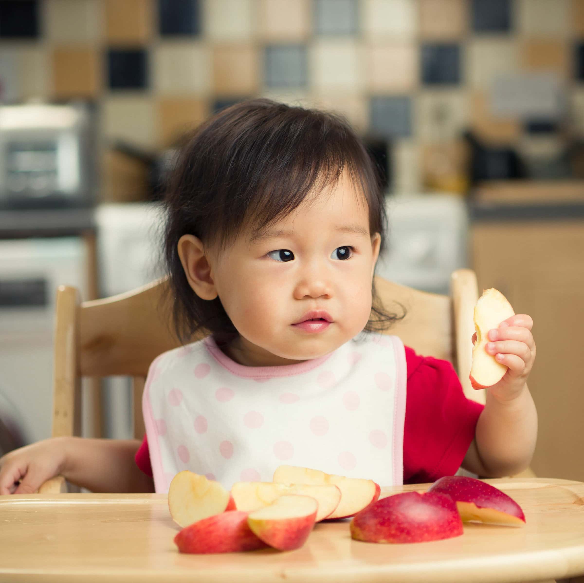 kid eating apples kid eating apples